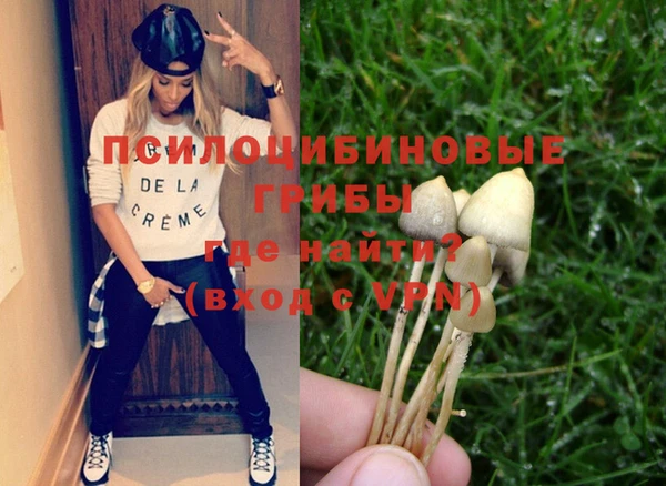 дмт Кодинск