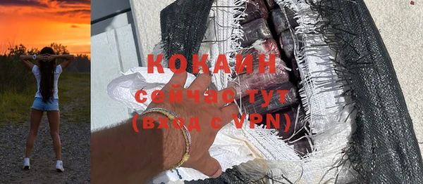 дмт Кодинск