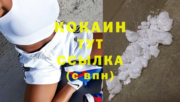 2c-b Козельск