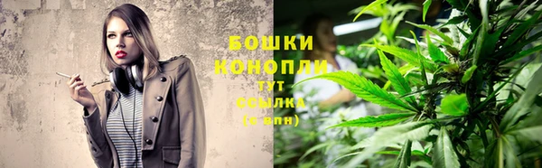 дмт Кодинск