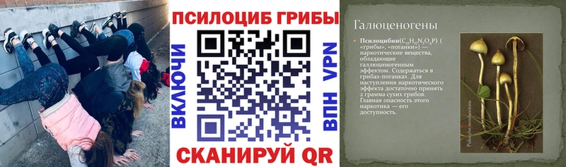 Псилоцибиновые грибы Magic Shrooms  Купить  Спасск 
